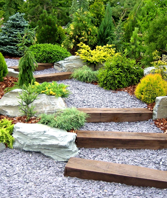 Chemin de jardin en gravier gris avec marches en bois, bordé de roches et de conifères variés.