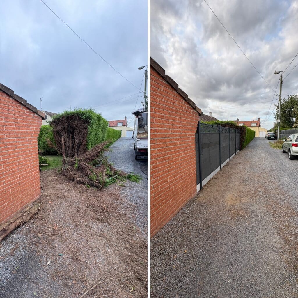 Comparaison avant/après : taille de haie et installation d'une clôture moderne grise le long d'une allée de gravier.